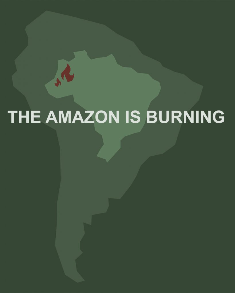 amazonas infografik