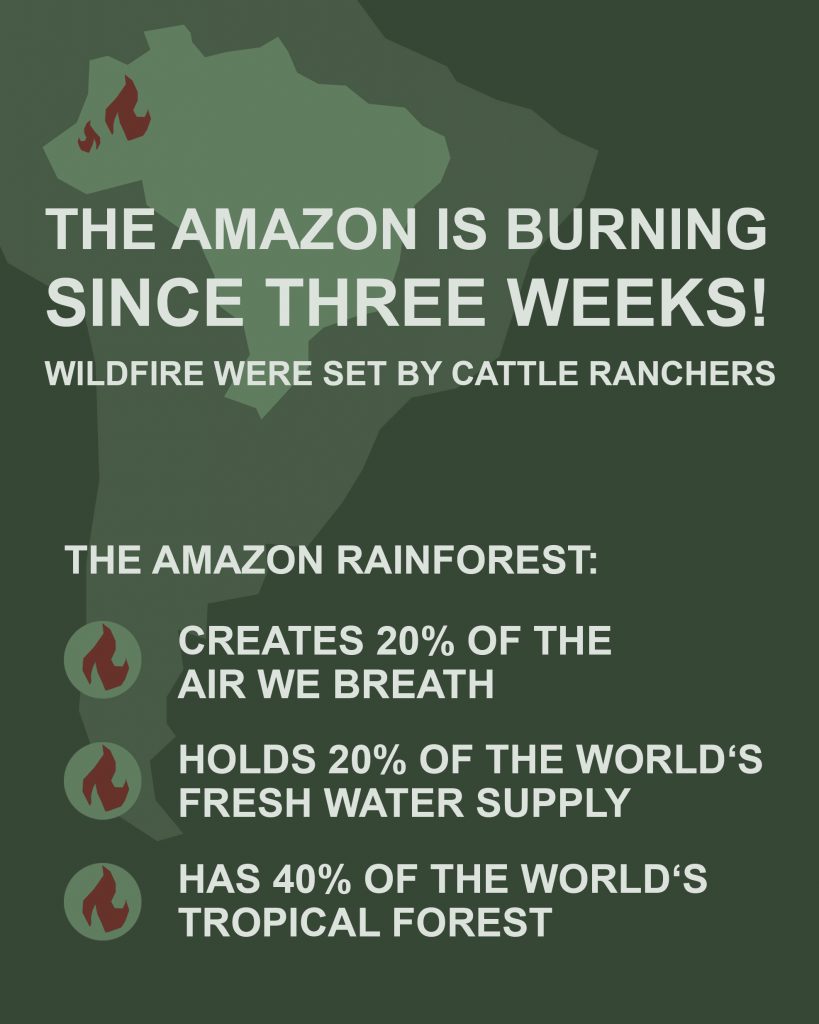 amazonas infografik