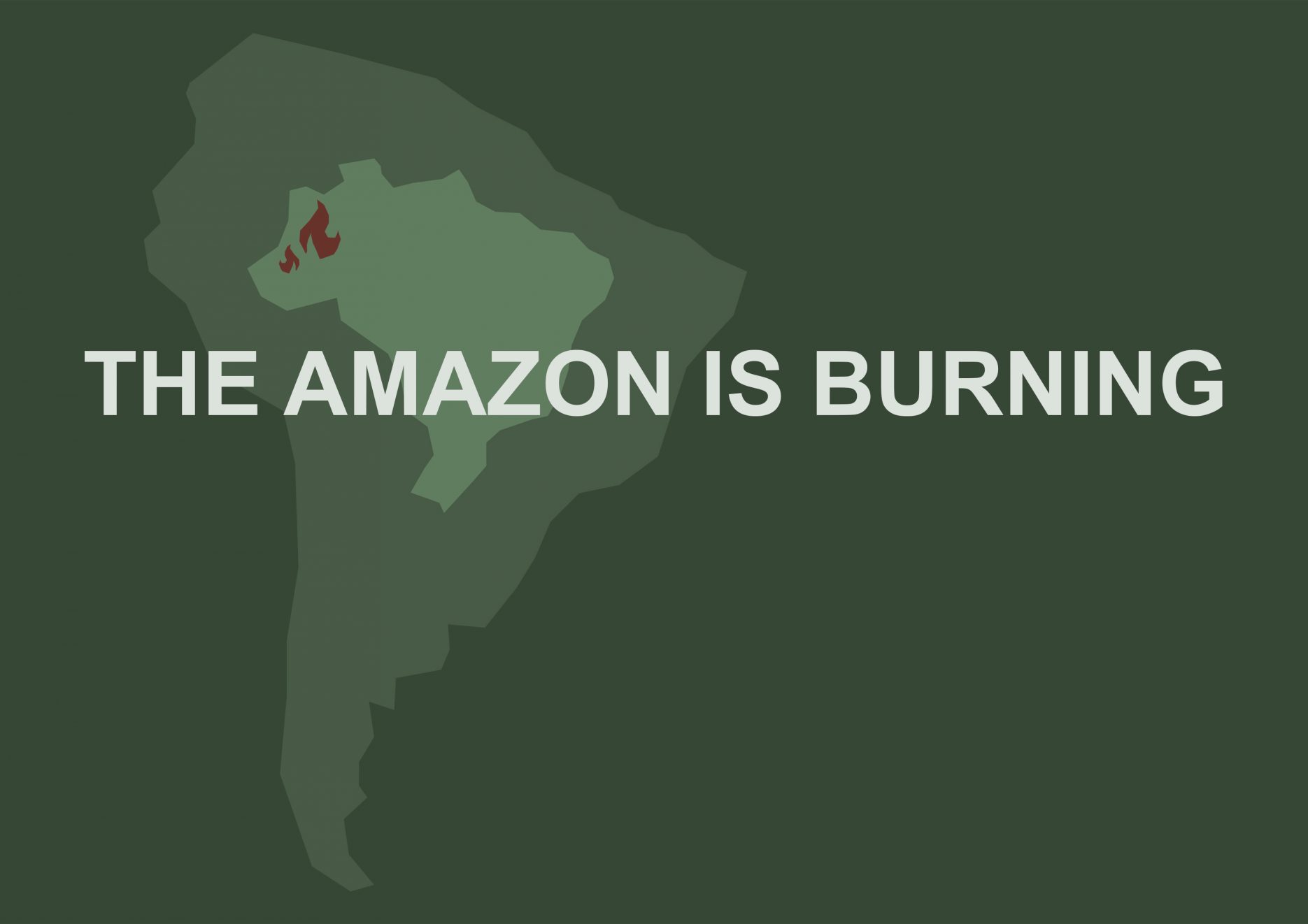 infografik amazonas